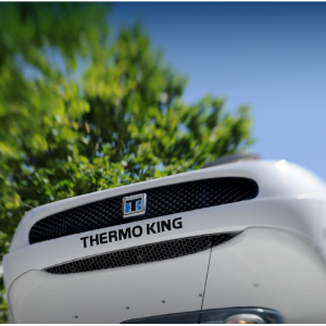 ترموكنينج THERMO KING